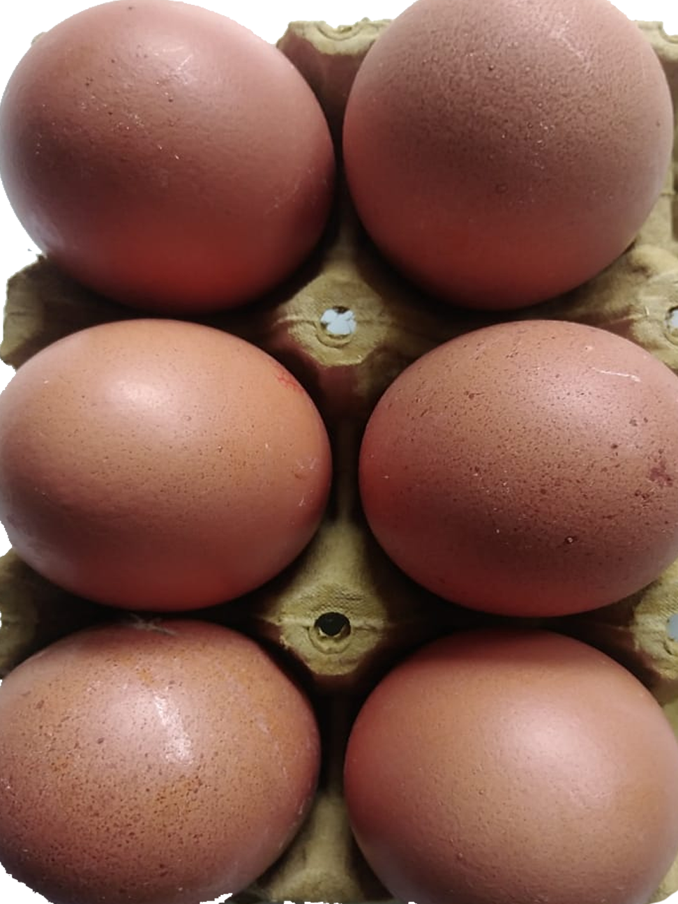 HUEVOS X 6