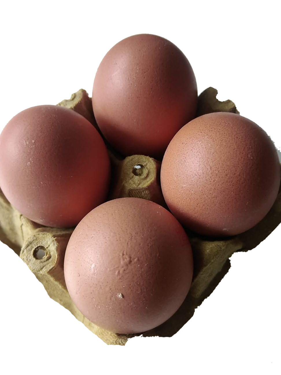 HUEVOS X 4 TIPO AAA